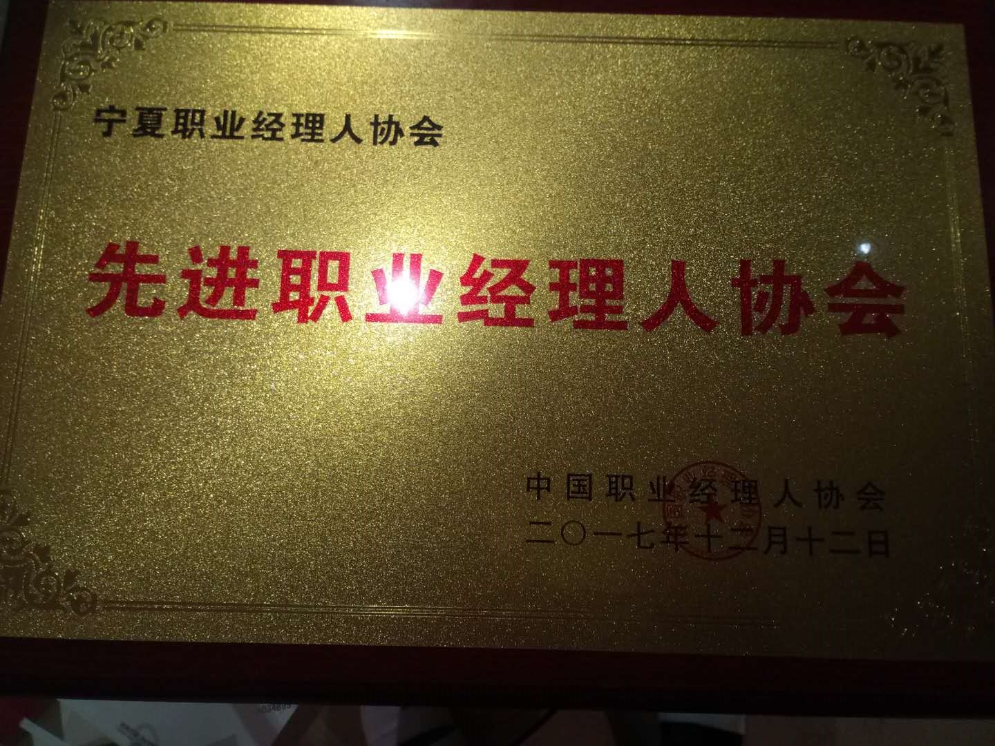 49629澳网