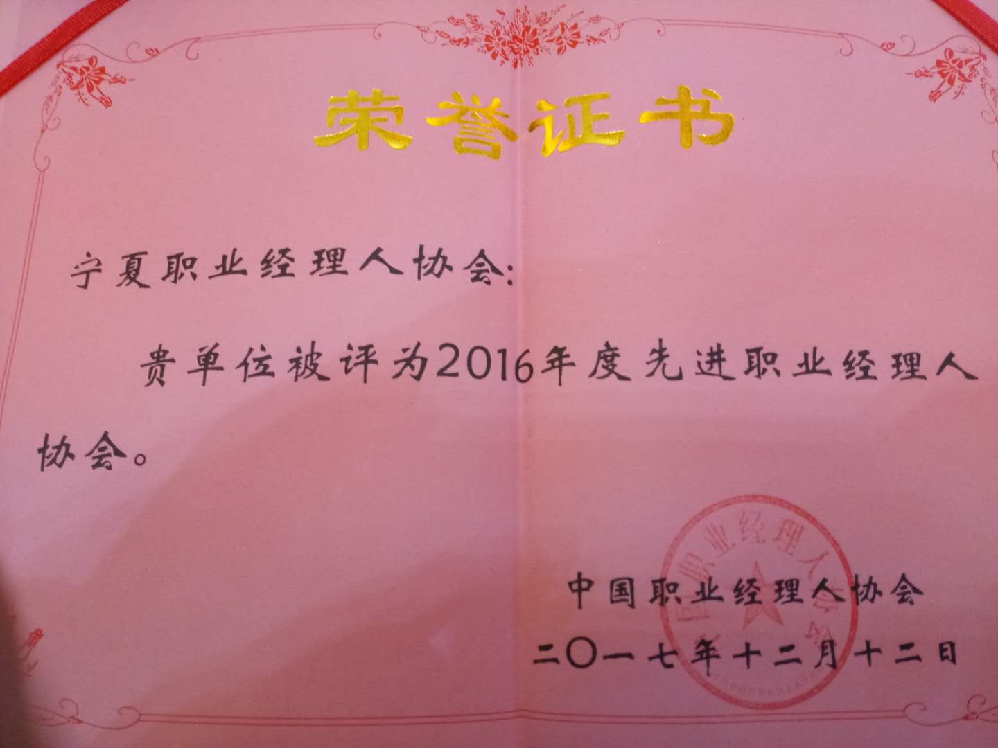 49629澳网